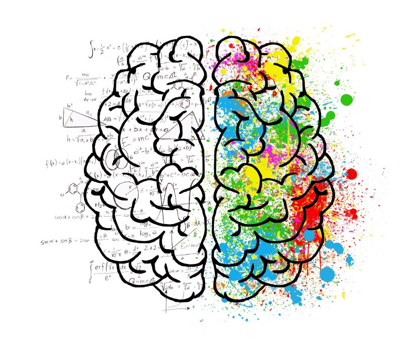 quimicos cerebrales, mitos, cerebro, neuropsicologia, trastornos, problemas, creatividad, mente, cuerpo, conexión, salud mental 